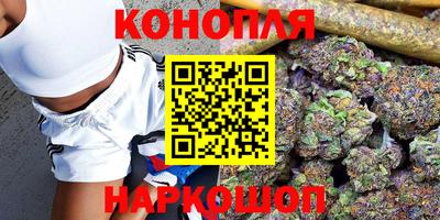 spice Севастополь