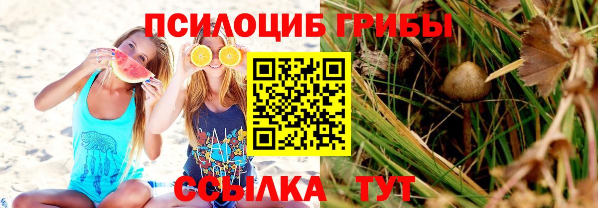 Галлюциногенные грибы Psilocybe  Галлюциногенные грибы Magic Shrooms  цены наркотик  Солнечногорск  Вход с VPN 